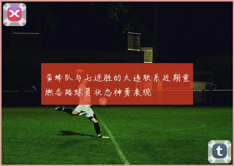 黄蜂队与七连胜的久违联系近期重燃各路球员状态神勇表现