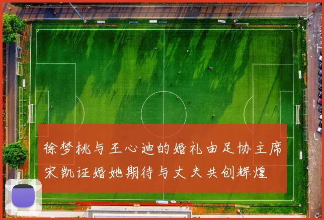 徐梦桃与王心迪的婚礼由足协主席宋凯证婚她期待与丈夫共创辉煌